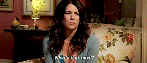 What No One Is Telling You About Ezoic 6 rs 500x215 160518183217 gilmoregirls2